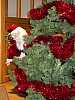 IMG_2119.jpg IMG_2119.jpg
